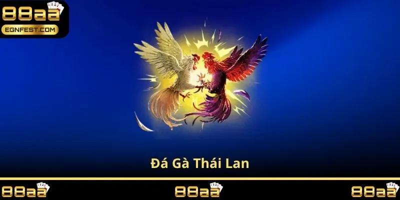 đá gà thái lan