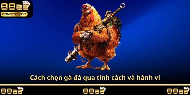 Cách chọn gà đá qua tính cách và hành vi
